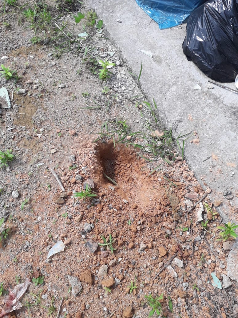 Sem direito à vida: Feto é encontrado no quintal de uma residência em Manaus
