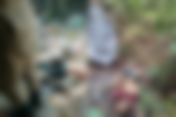 Corpos são desovados em avançado estado de decomposição no interior do Amazonas; imagens fortes