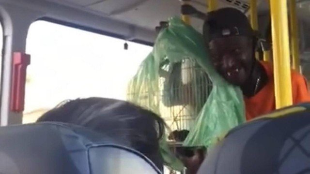 Homem ameaça jogar rato em passageiros de ônibus para conseguir dinheiro para comprar cerveja; veja video