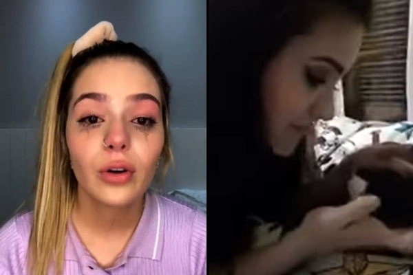 Gato que Viih Tube aparece cuspindo em vídeo foi resgatado por ela mesma em Manaus
