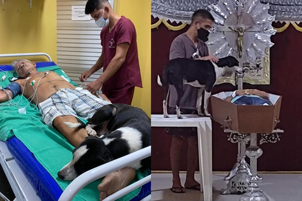 Inseparáveis: nem a morte tirou o cão fiel do lado de dono idoso no Amazonas