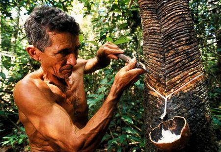 Governo do Amazonas aumenta o valor de auxílio ao seringueiro