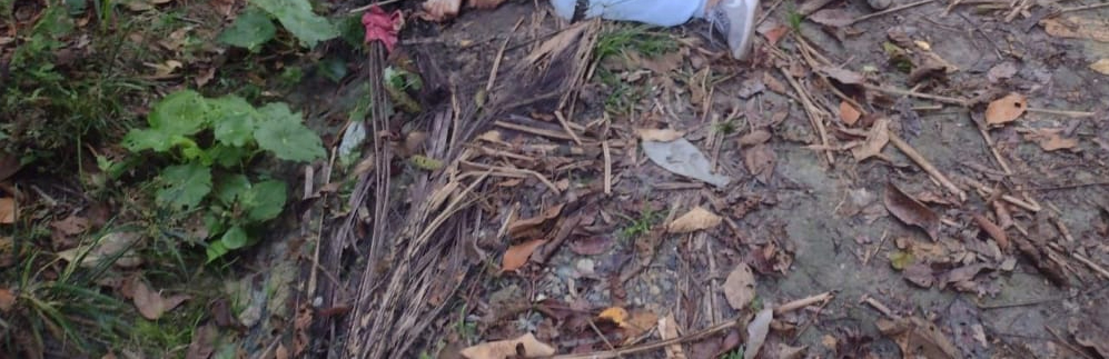 Com mais de 15 tiros pelo corpo, homem é encontrado morto no Ramal do Brasileirinho; imagem forte