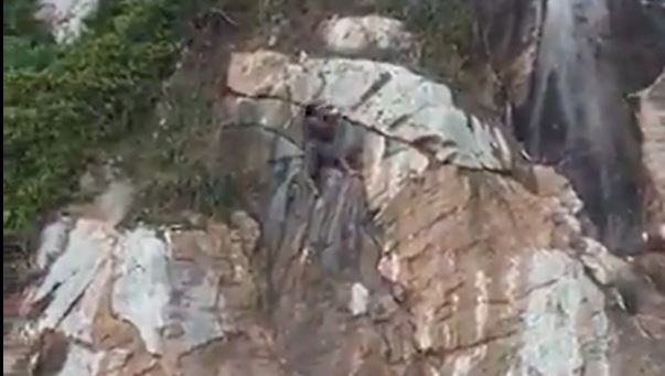 Noiado pensa que é Homem-Aranha e tenta escalar rocha gigantesca mas leva a pior; veja vídeo