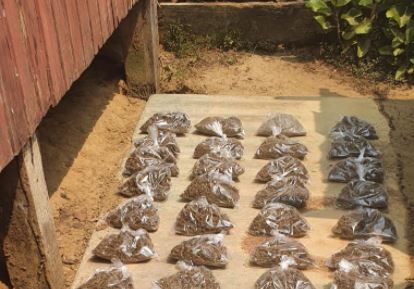 Maconheiros choram ao saberem que traficante foi preso junto com suas encomendas; veja vídeo