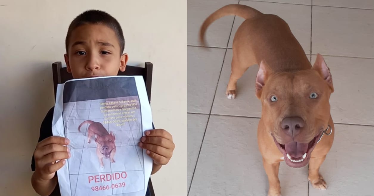 Criança chora e pede ajuda para encontrar o seu cachorro roubado, em Manaus; veja vídeos