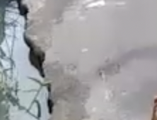 Urgente: vulgo ‘Batoré’ acaba de ser executado no meio da rua, no Amazonas