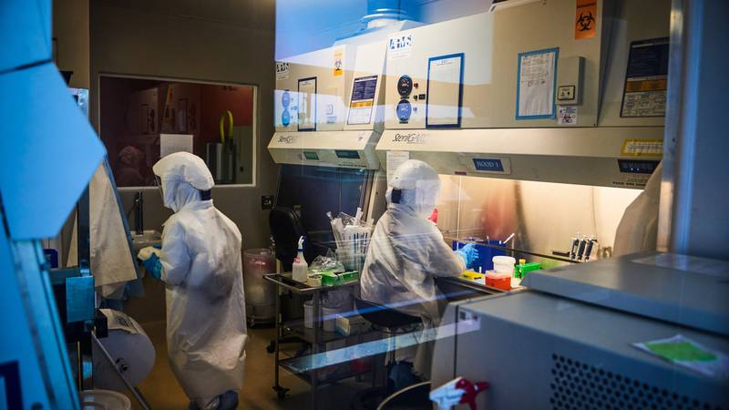 Ômicron possui risco 80% menor de hospitalização, revela pesquisa